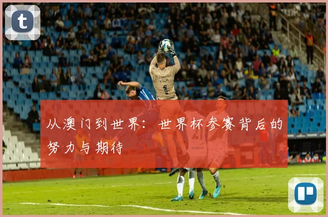 从澳门到世界：世界杯参赛背后的努力与期待