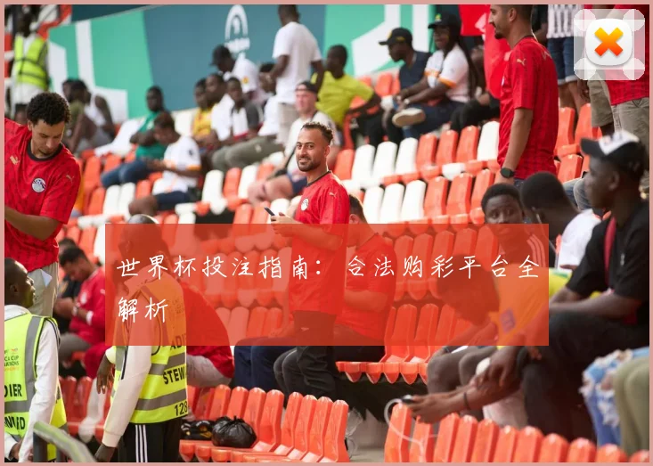 世界杯投注指南：合法购彩平台全解析