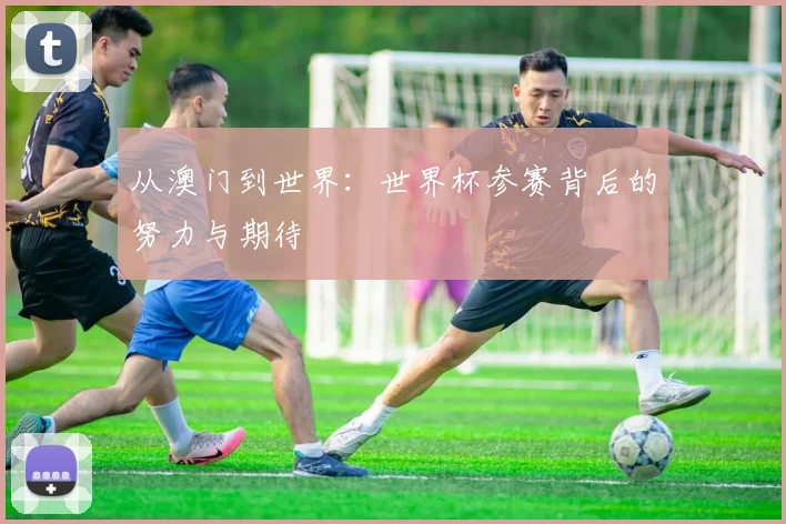 从澳门到世界：世界杯参赛背后的努力与期待