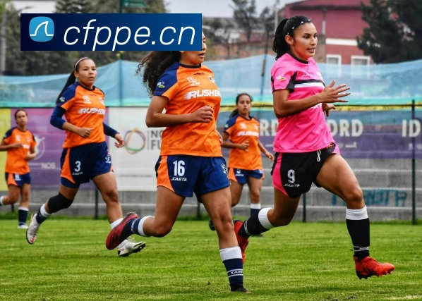 App Interface Preview